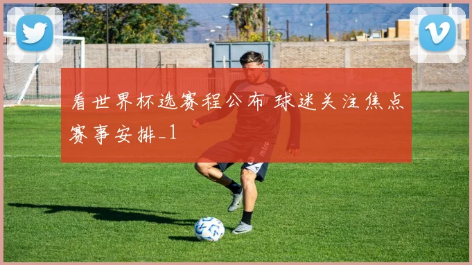 看世界杯选赛程公布 球迷关注焦点赛事安排_1